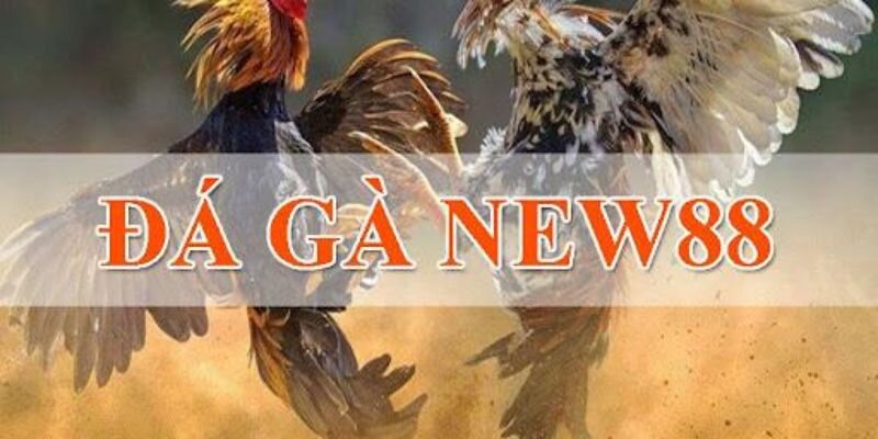 Khuyến mãi giá trị cực lớn dành tặng tất cả người chơi