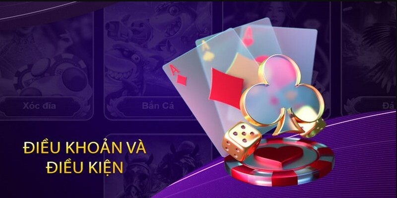 Quy tắc và điều kiện khuyến mãi áp dụng với mọi khách hàng